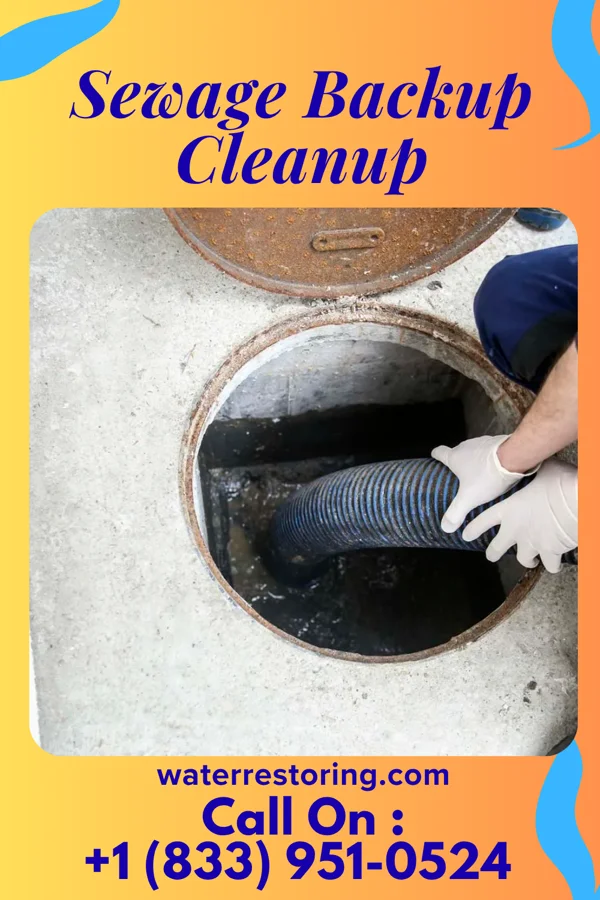 Sewage Backup Cleanup in Lake Madison, SD