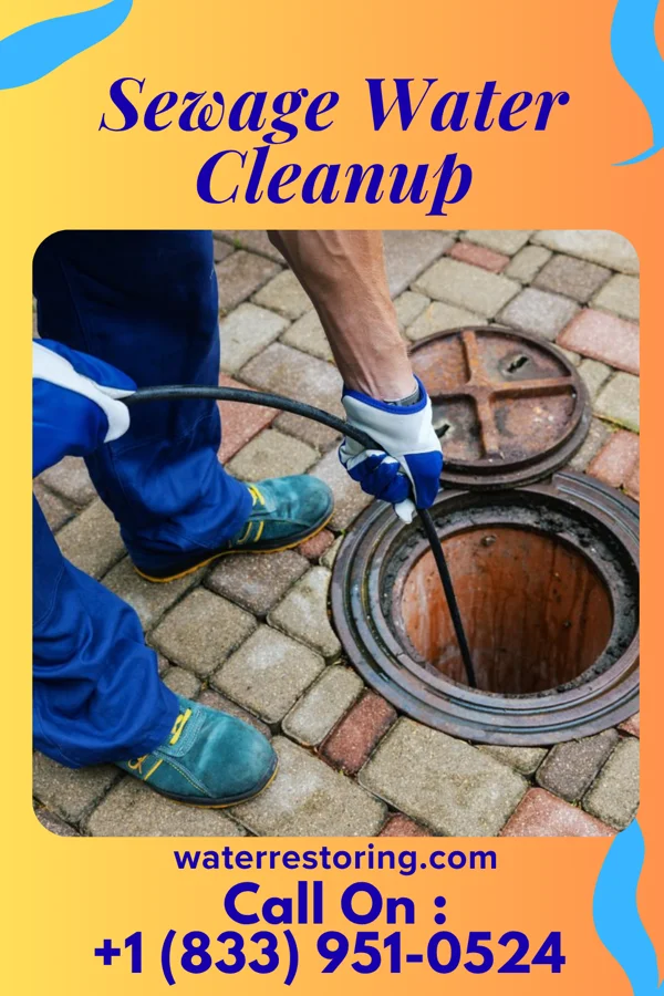 Sewage Water Cleanup in Lake Madison, SD